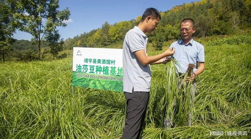 油莎豆集团与黄酒馆村就特殊作物种植及产品开发达成战略合作